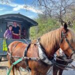 ACCETTURA, Kristen e Pierangelo, dalla Francia con la roulotte trainata da cavalli.